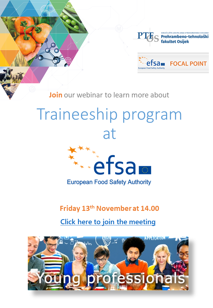 flyer traineeship program 2021